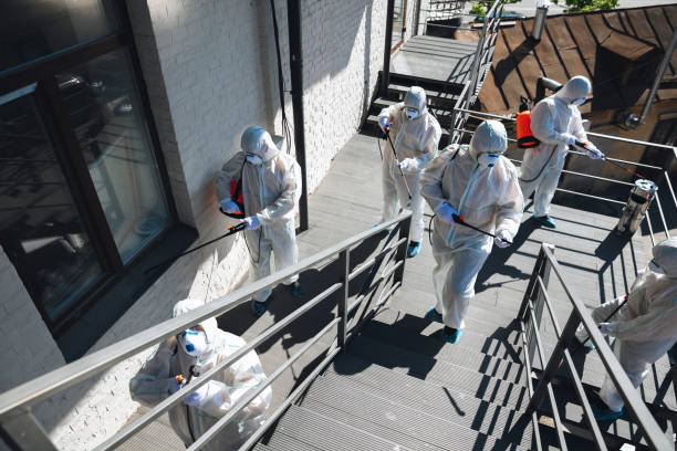 Asbestos and Lead Testing During Mold Inspection in Auburn, GA