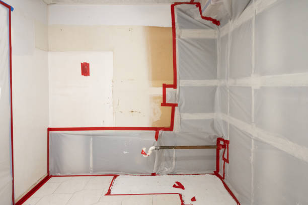 Best Dehumidification Services  in Auburn, GA