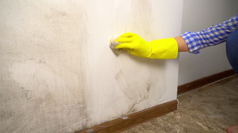 Best Real Estate Mold Inspection  in Auburn, GA