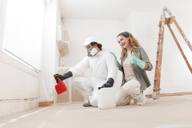 Biohazard Mold Removal in Auburn, GA