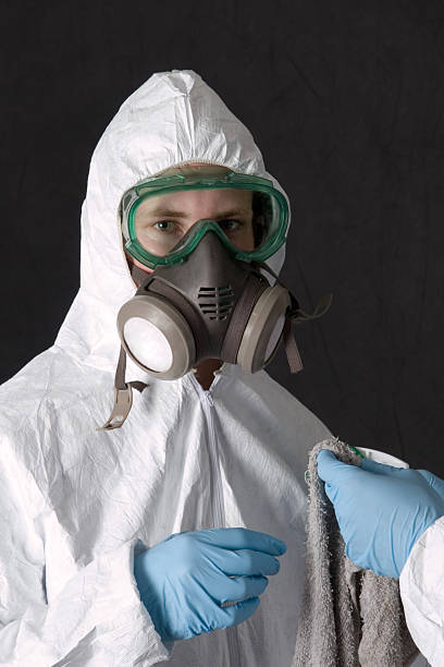 Best Industrial Mold Remediation  in Auburn, GA