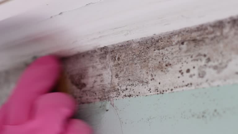 Best Mold-Related Health Consultation  in Auburn, GA